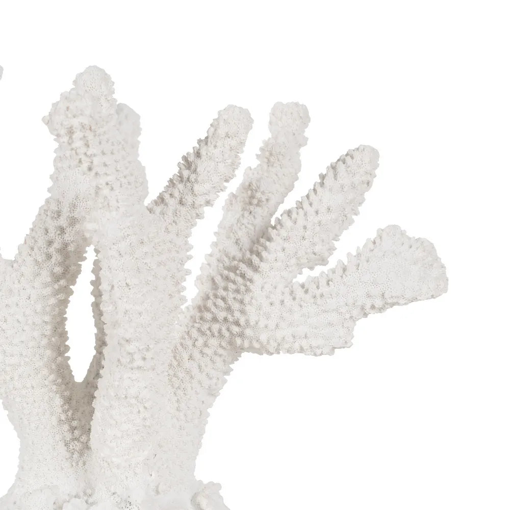 Mairead white resin coral sculpture, detailed and textured for home decor