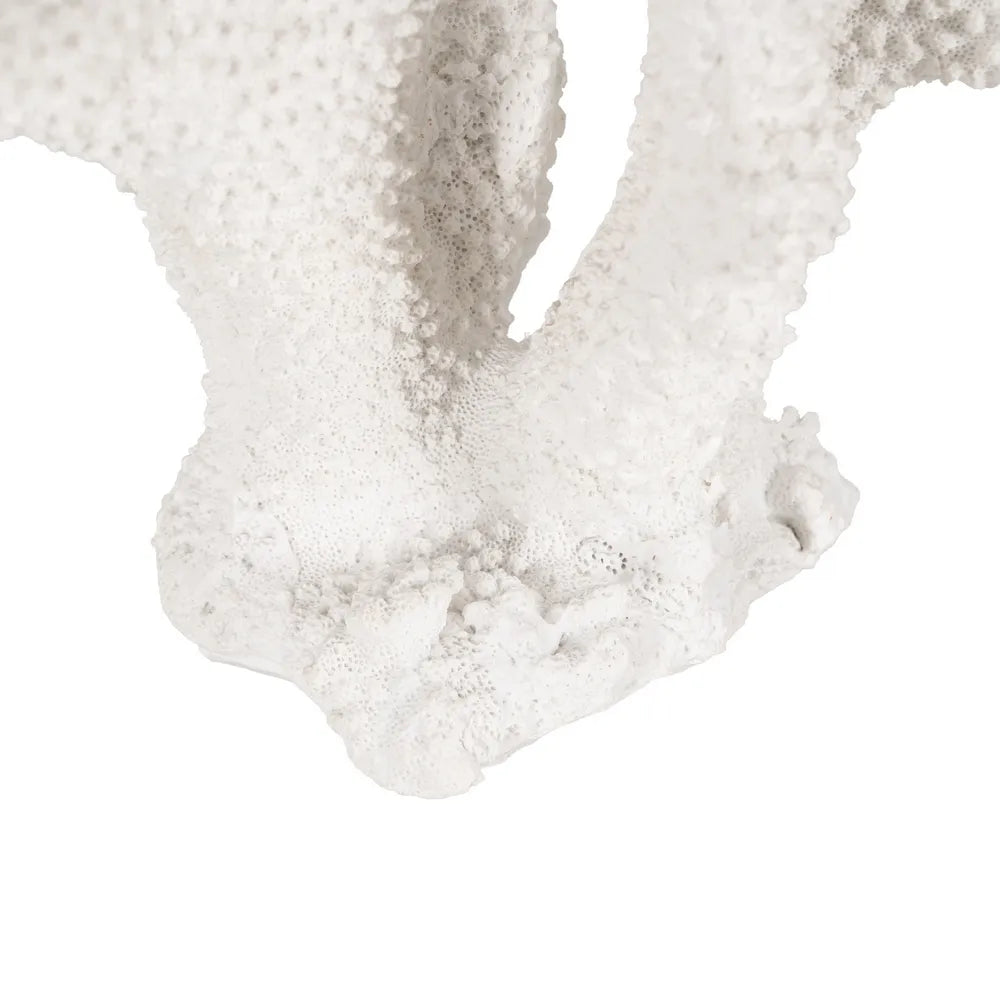 Mairead white resin coral sculpture, detailed and textured for home decor