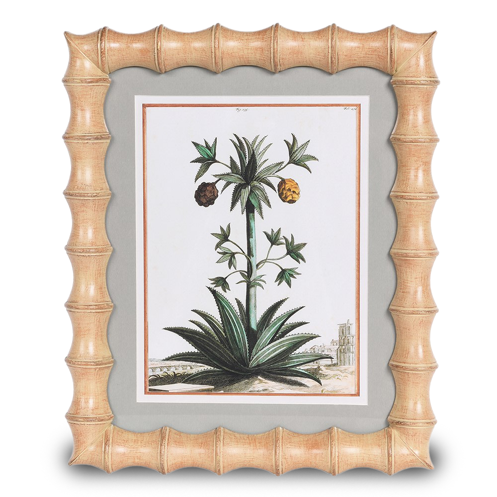 KEVIN photo frame with botanical artwork display.
