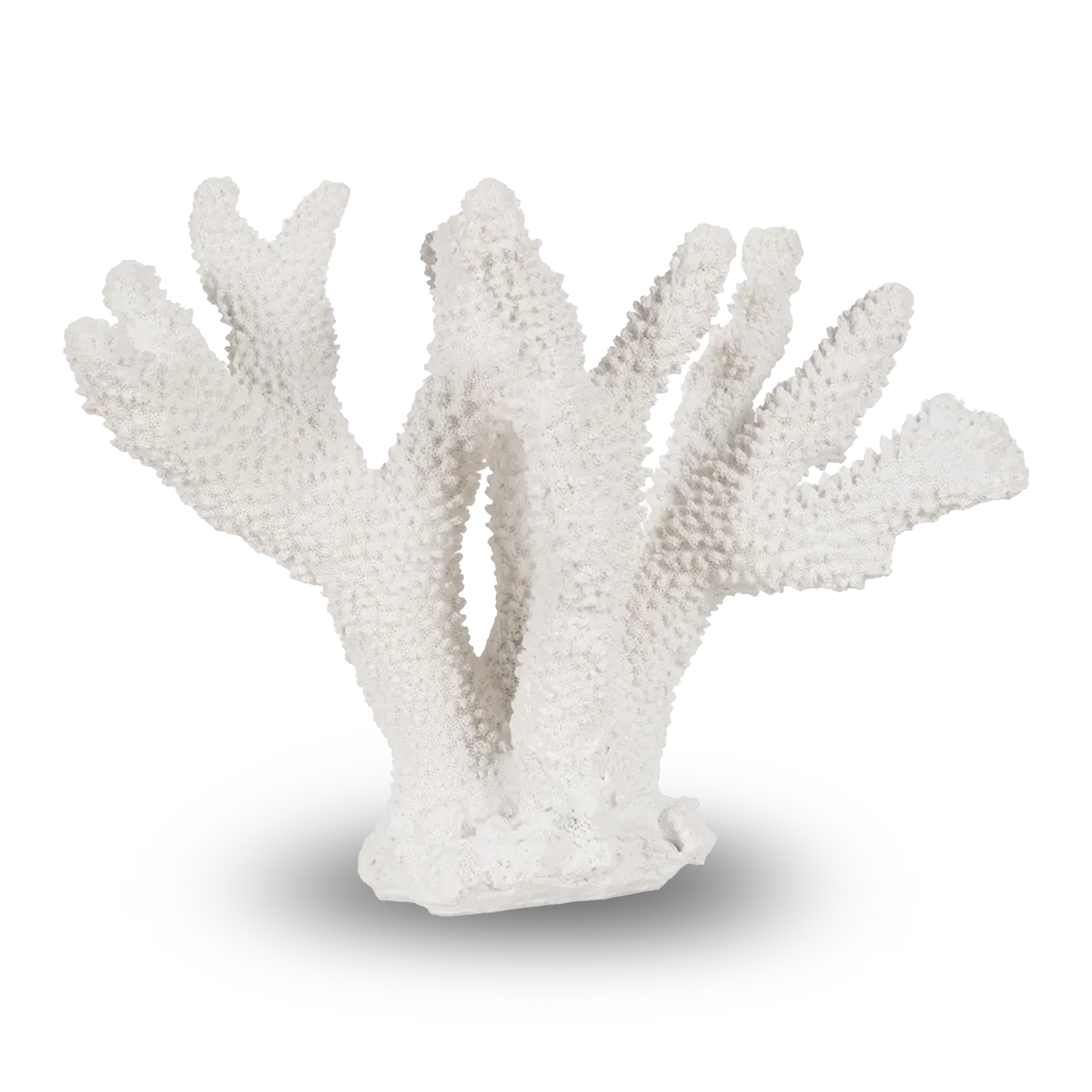 Mairead white resin coral sculpture, detailed and textured for home decor