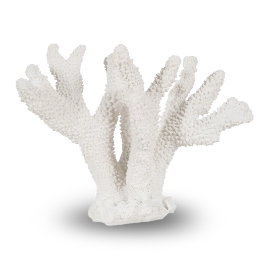 Mairead white resin coral sculpture, detailed and textured for home decor