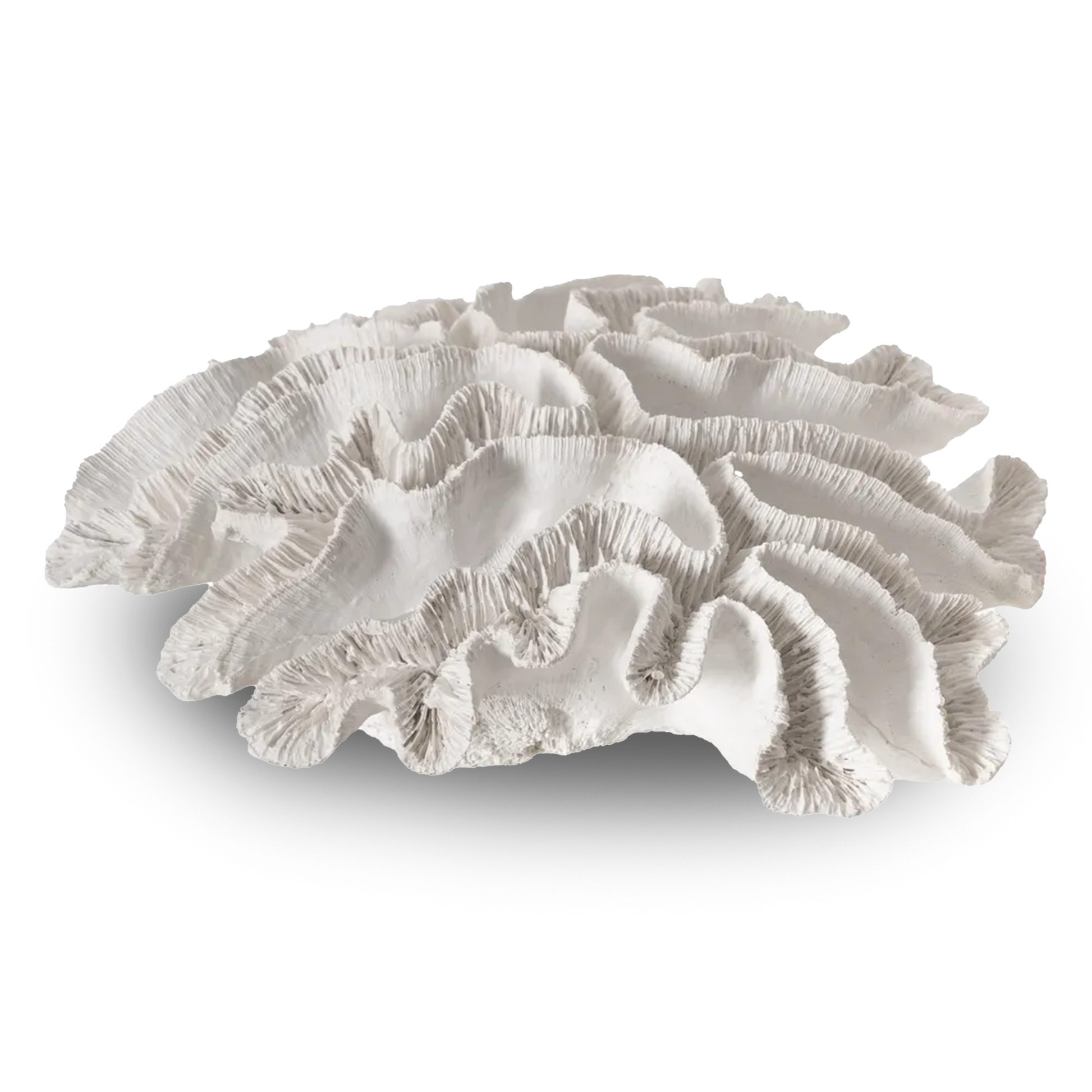 Ailbhe white resin coral sculpture, marine-inspired home decoration